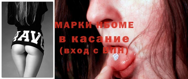 индика Алексин
