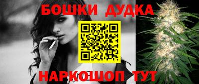 прущие грибы Новозыбков