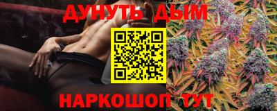 прущие грибы Новозыбков