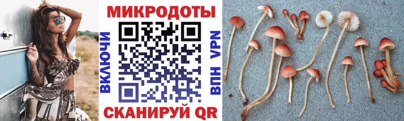 Псилоцибиновые грибы MAGIC MUSHROOMS  что такое   Сунжа 