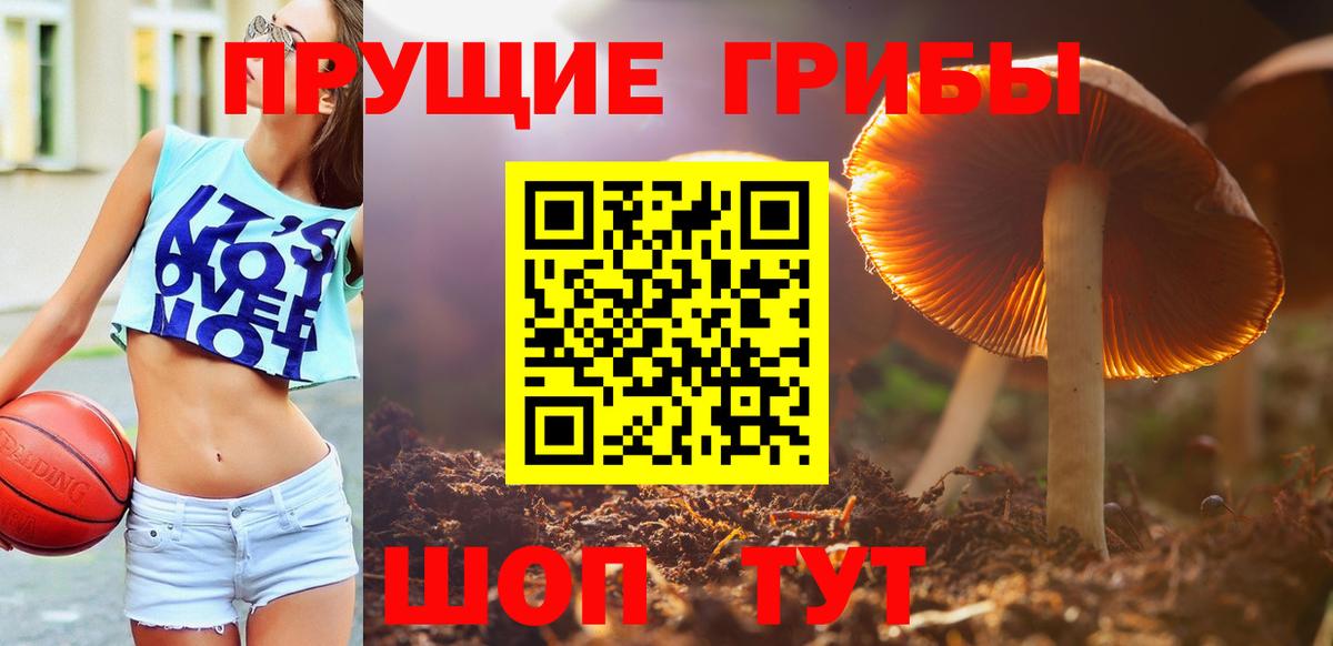 Галлюциногенные грибы Cubensis Сунжа